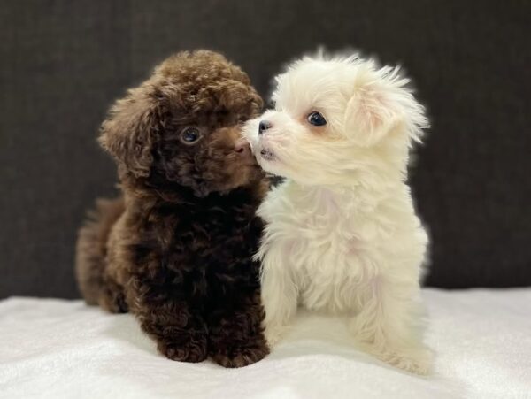 Tucker & Tina